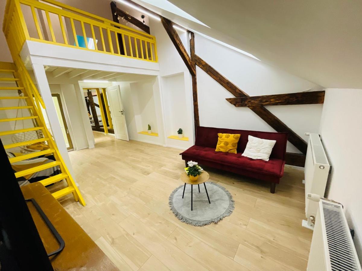 Loft In 1902 Art-Nouveau Villa Oradea Dış mekan fotoğraf